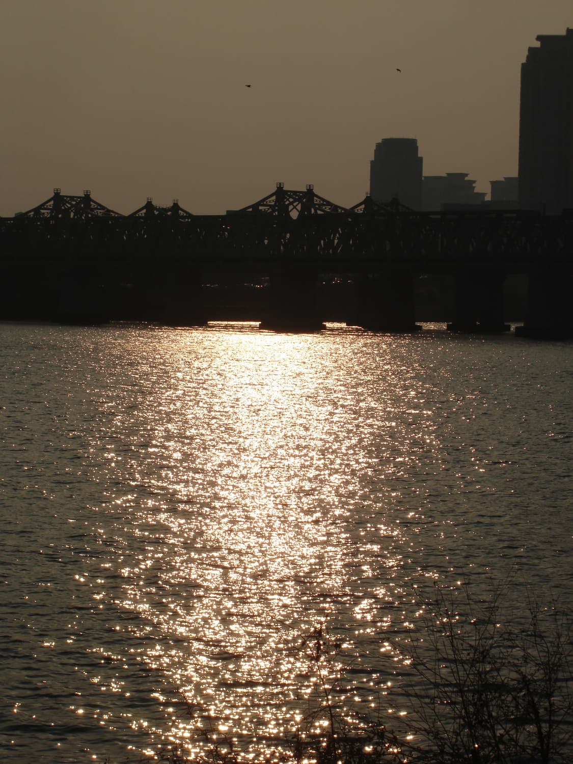 희귀&하이엔드!) Sony Cyber-shot WX100 디카 카메라 상품이미지2