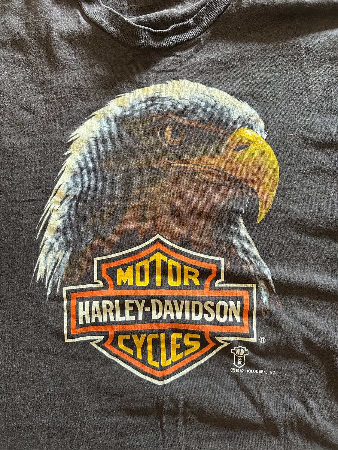 80s  Harley davidson Holoubek Eagle - XL 상품이미지2