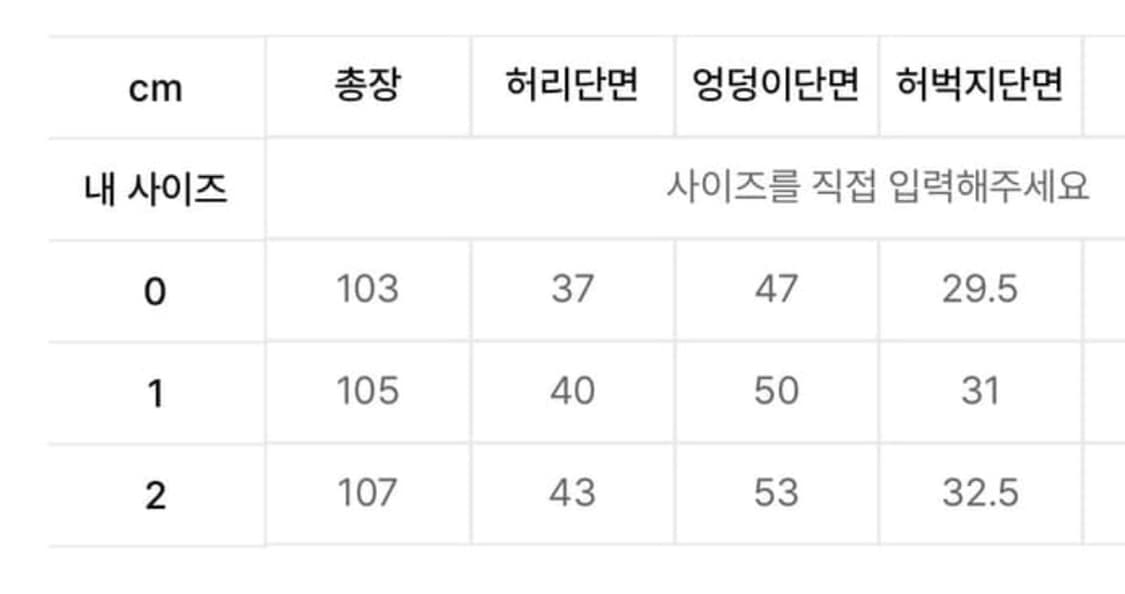 SMOCKING CONVEX PANTS나체 스모킹 셔링 팬츠 0사이즈 상품이미지2