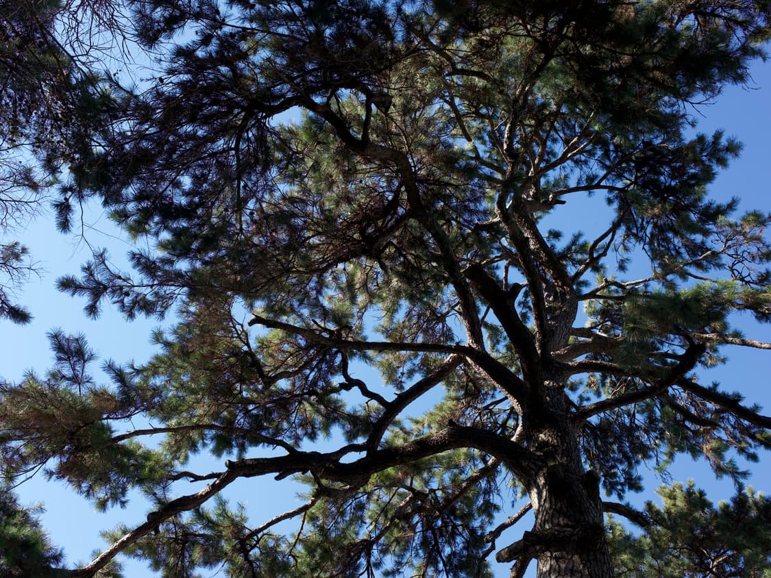 개인결제창 상품이미지1