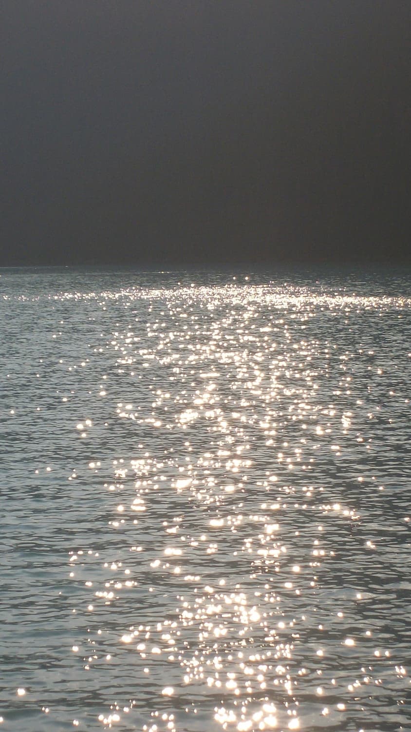 입문&강추!) Samsung VLUU PL20 디카 카메라 상품이미지2