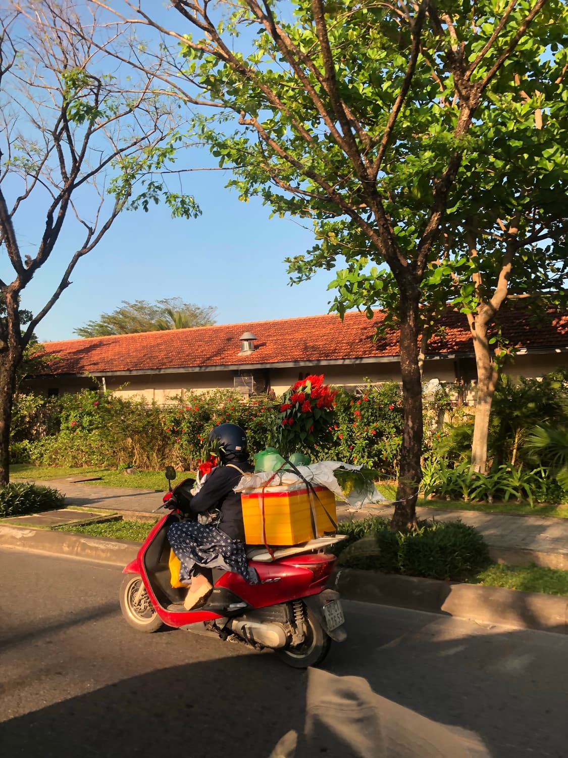 아이폰8 로즈골드 64G 상품이미지8