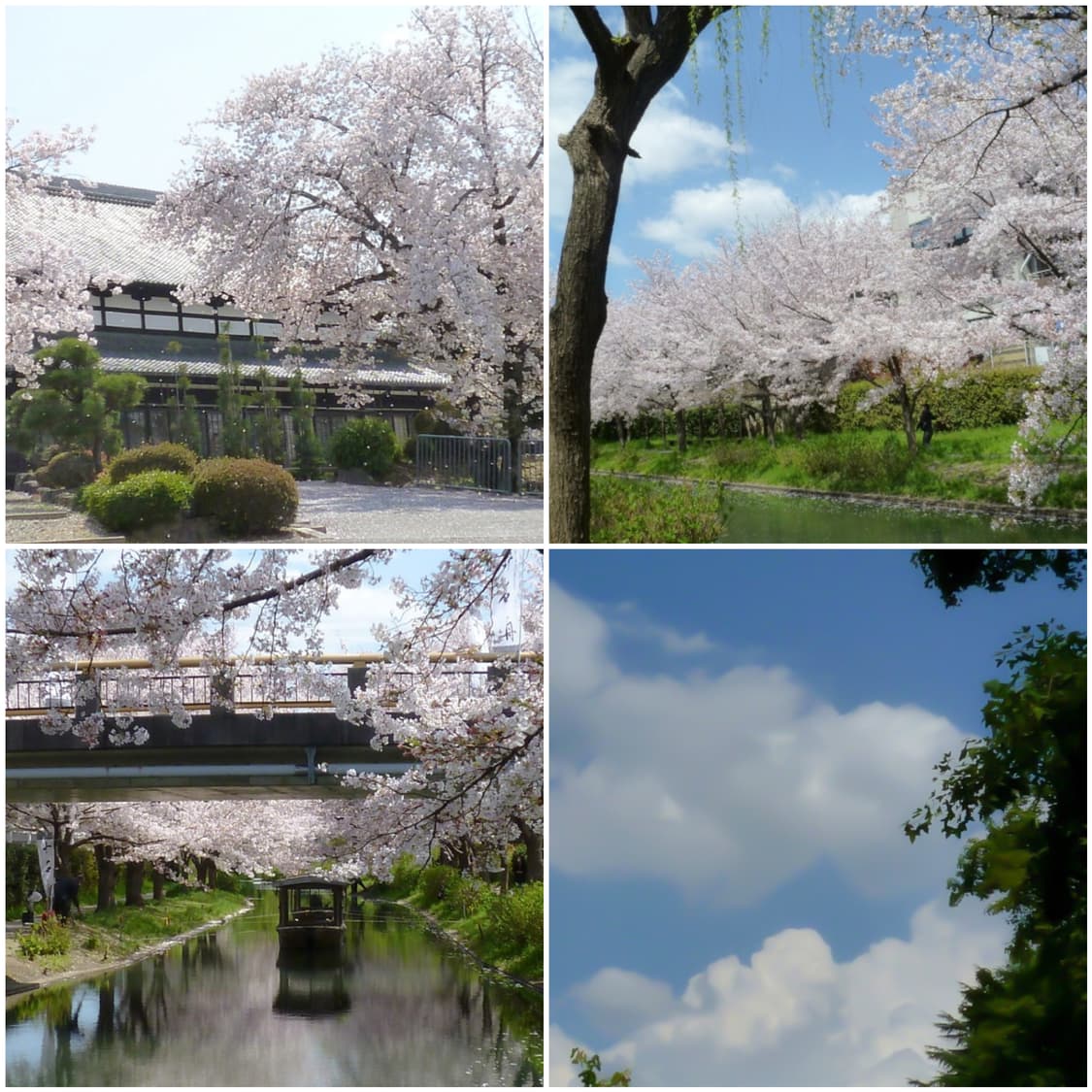 파나소닉 루믹스 DMC-FX70 핑크(빈티지디카) 작례포함 상품이미지3