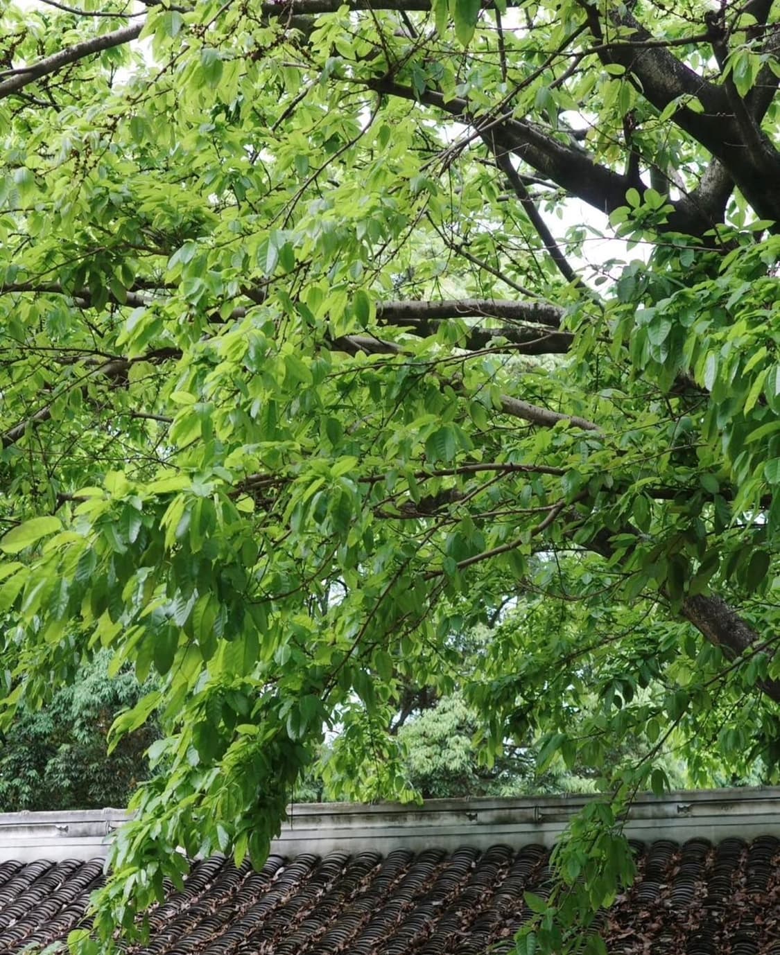 올림푸스 뮤 720 sw 디지털카메라 상품이미지9