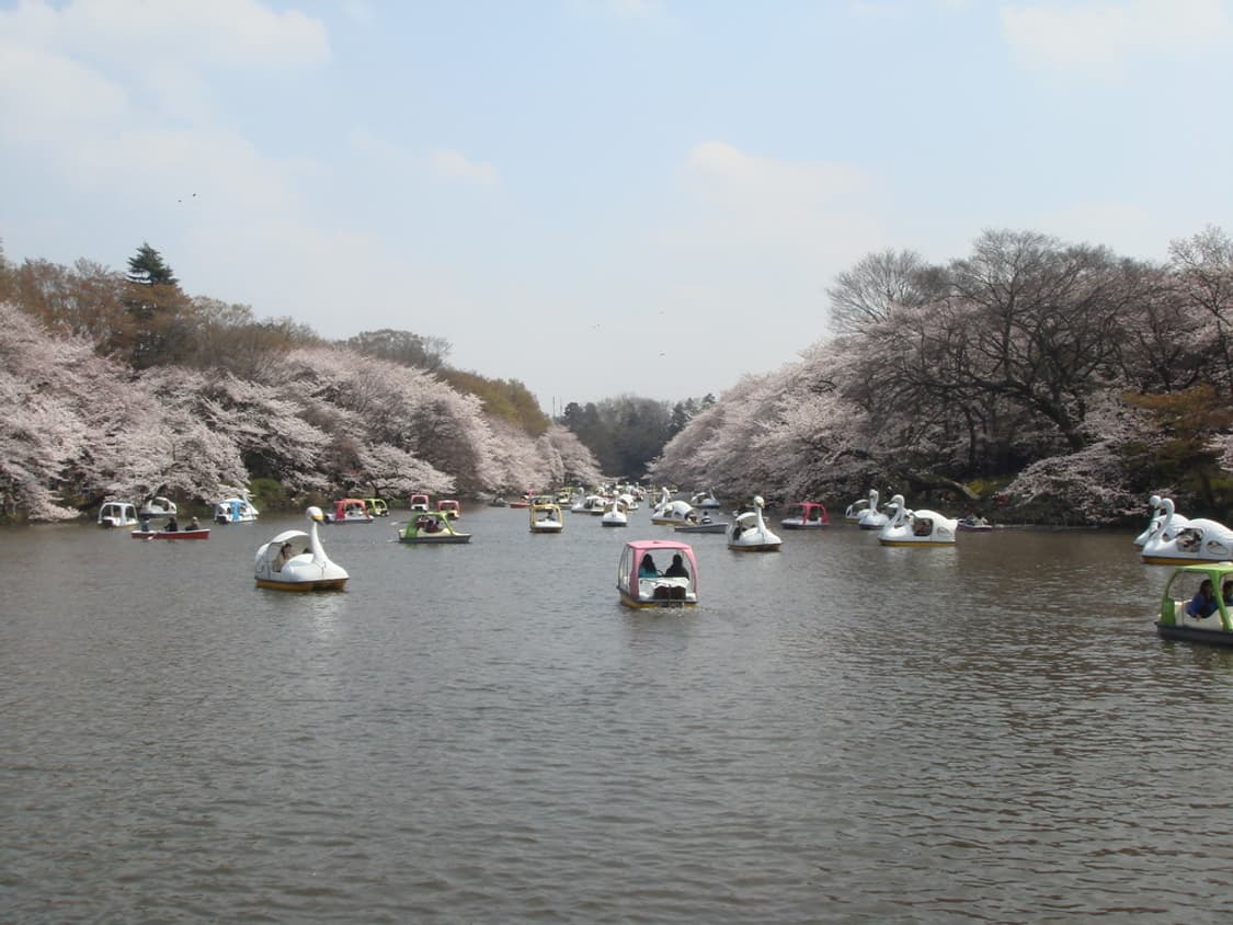 소니 사이버샷 SONY Cyber-shot DSC-T50 실버 상품이미지2