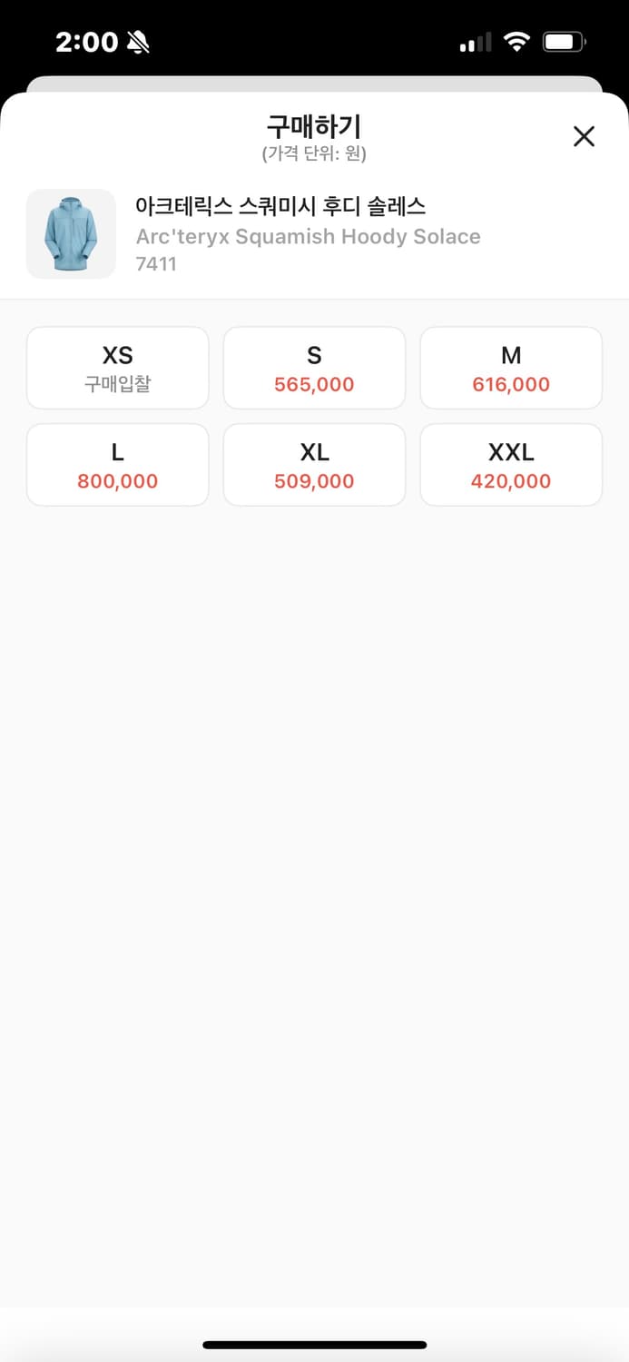 아크테릭스 스쿼미시 솔레스 상품이미지4