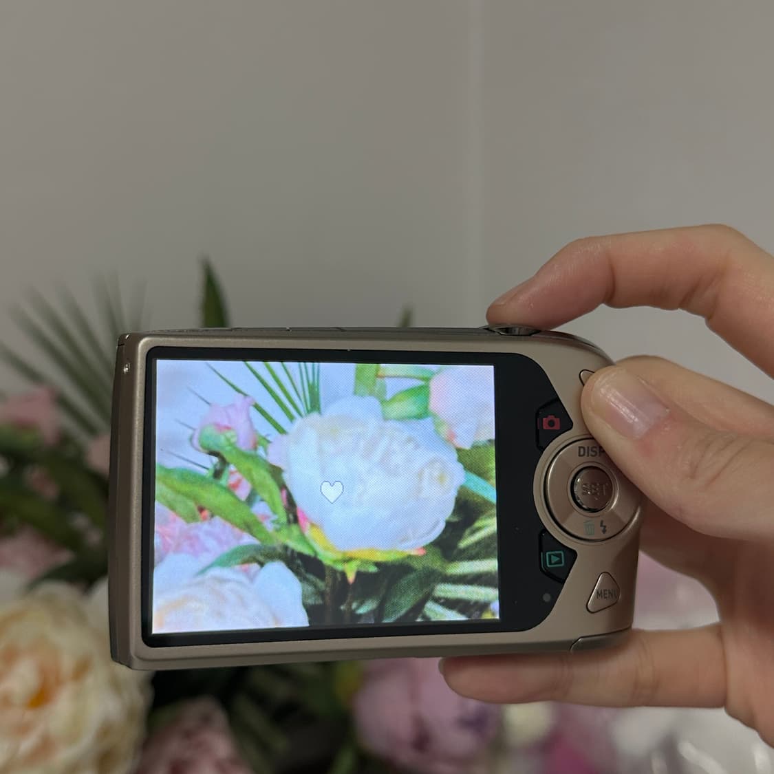 카시오 엑슬림 z2300 모카 나연 로제 디카 박스셋 상품이미지4