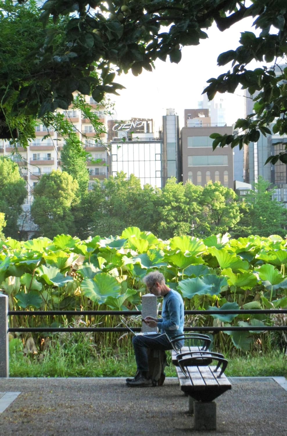 캐논 익서스 970is IXUS (익시IXY820is,파워샷 SD890) 상품이미지3