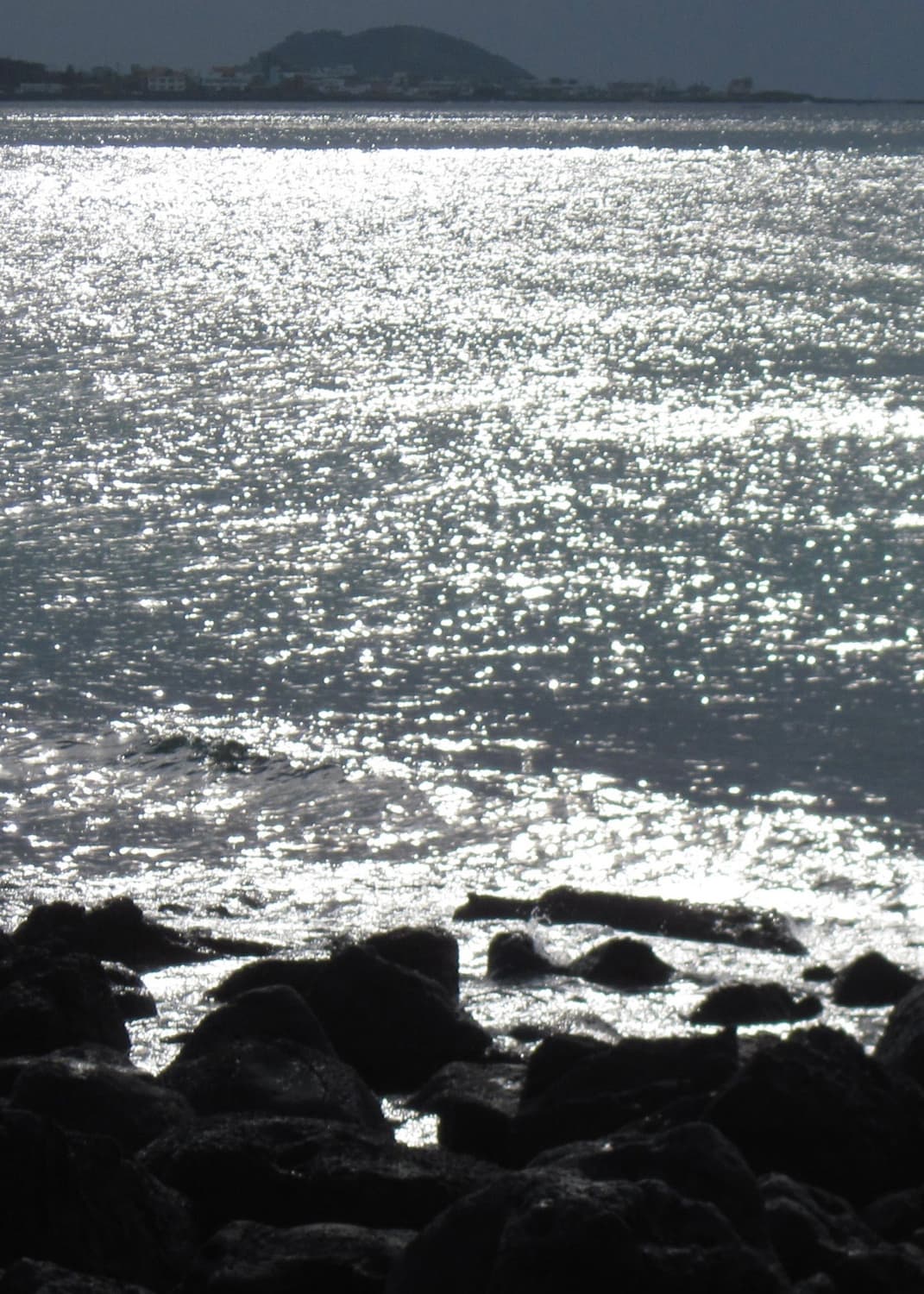 풀박스) 캐논 파워샷 a1100 IS 핑크 상품이미지8