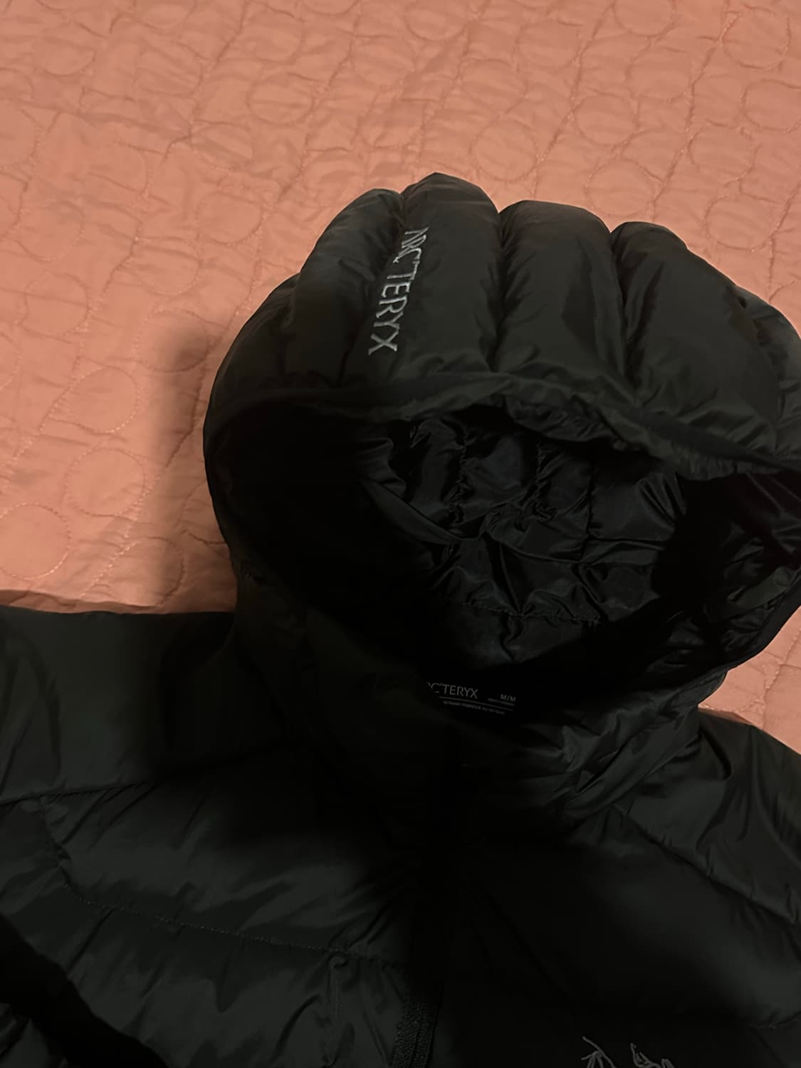 아크테릭스 세륨 후디 M 판매합니다 상품이미지2