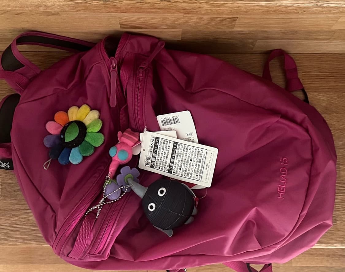 아크테릭스 헬리아드 15 백팩 신스 상품이미지10