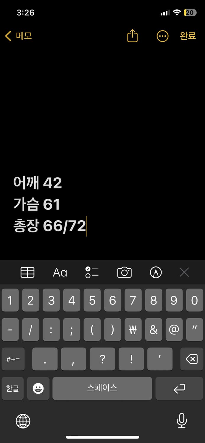 폴로랄프로렌 빅포니 카라티 상품이미지6
