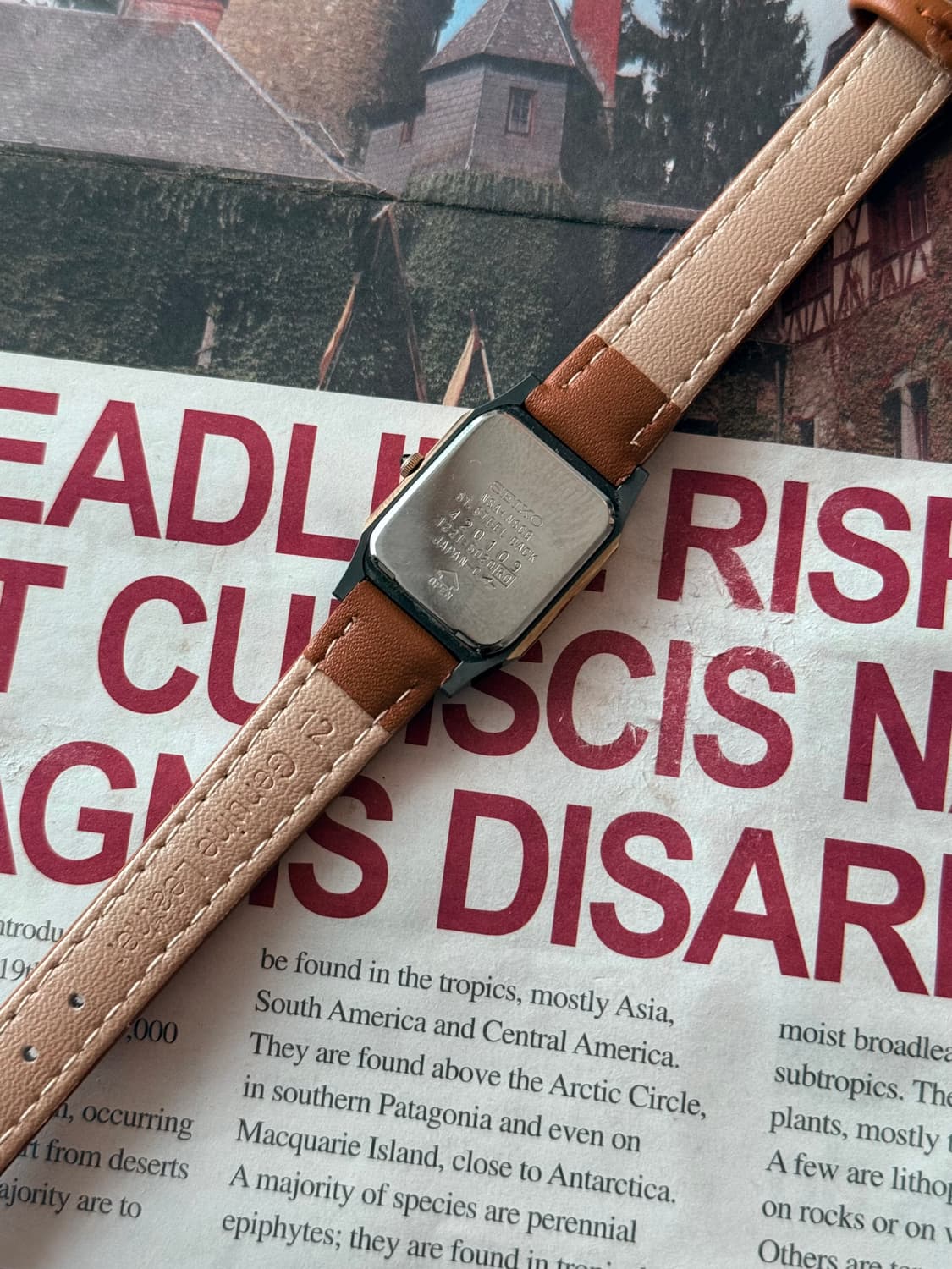 세이코 Seiko 쿼츠 스퀘어 브라운 레이디스 상품이미지3