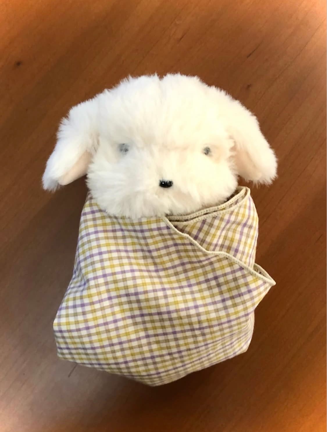 코이세이오 5/7 대리구매 합니다 상품이미지1