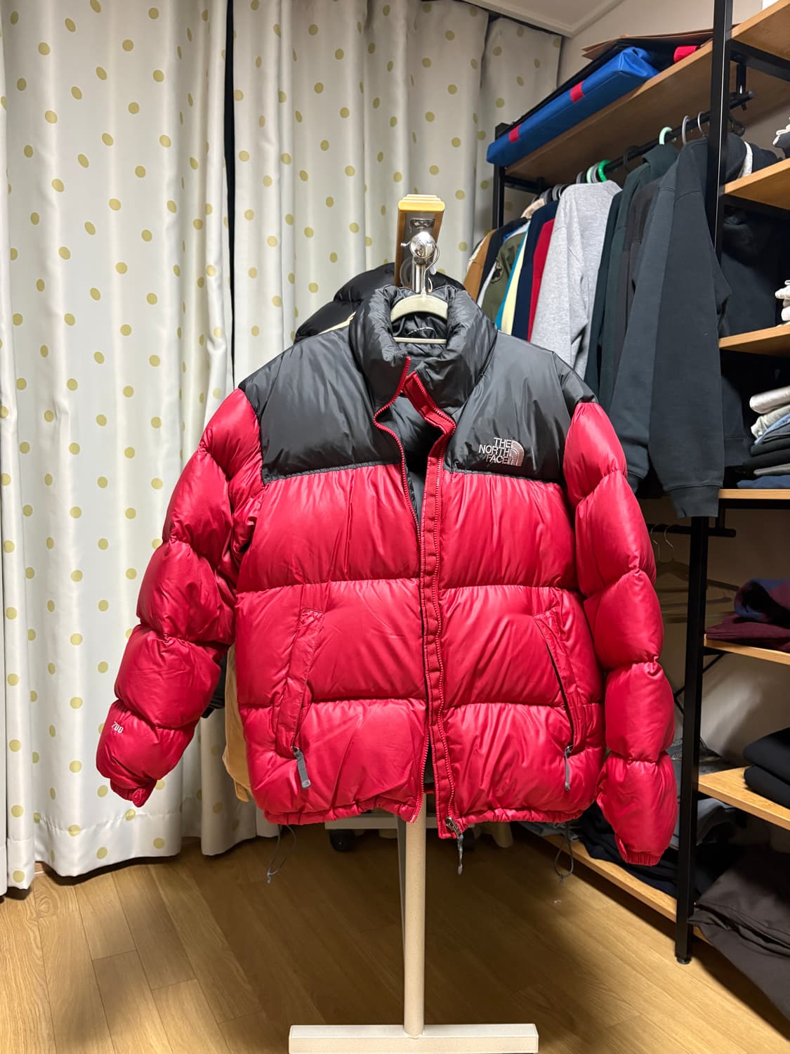 노스페이스 눕시 (골드윈) 100, 라지 상품이미지1