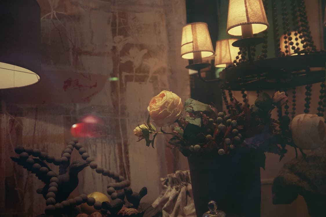 작례O 컴팩트 필카의 정점 올림푸스 oz 110 줌 필름카메라 빈티지 필 상품이미지4