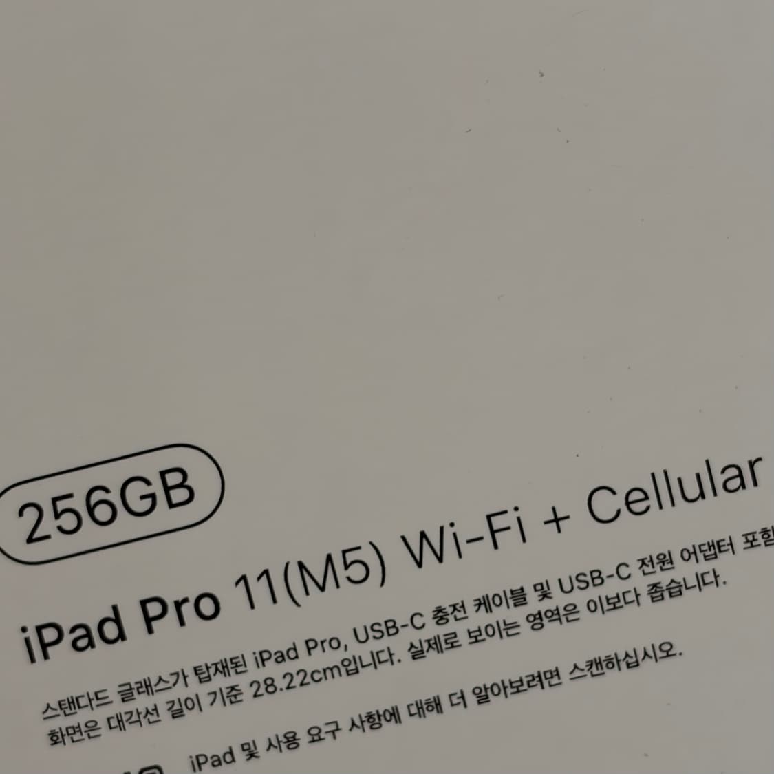 아이패드 프로11 256GB 상품이미지2