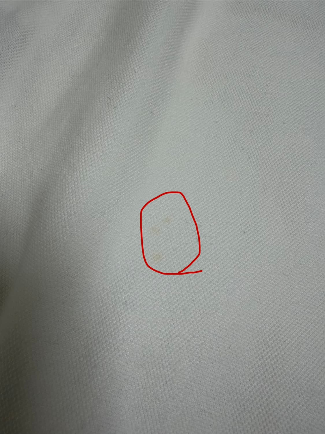 폴로 랄프로렌 빅포니 카라 롱슬리브 프랑스 #3 상품이미지4