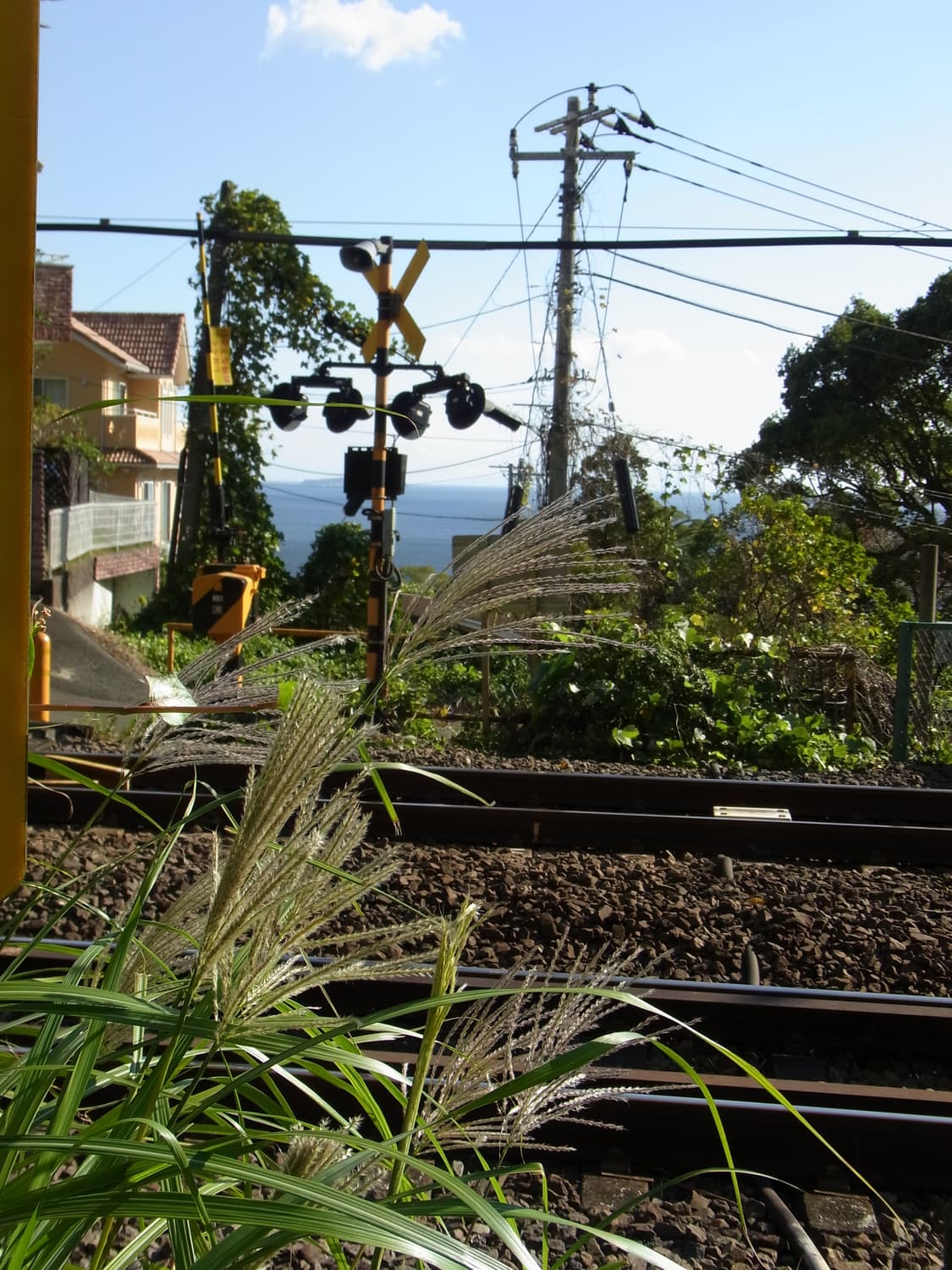 ✨필카감성✨ Ricoh 리코 CX3 디지털카메라 상품이미지8