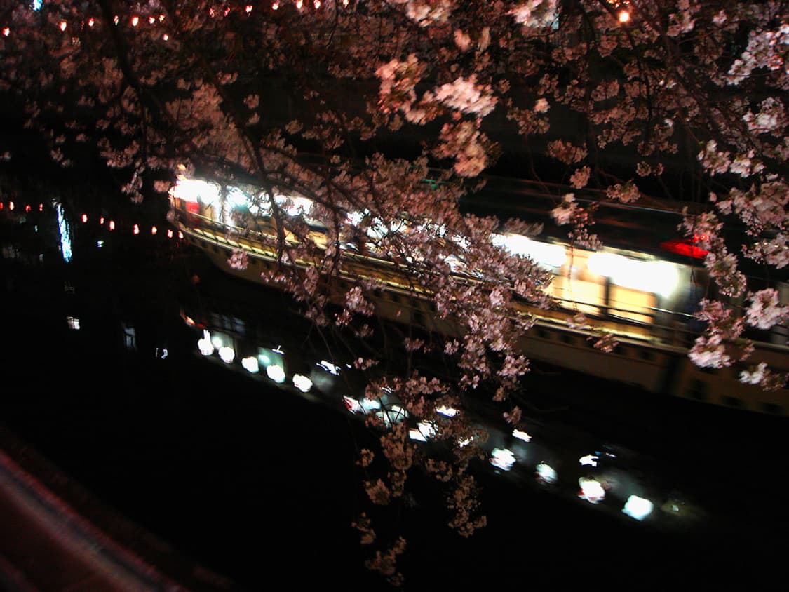 소니 사이버샷 SONY Cyber-shot DSC-T10 화이트 상품이미지3