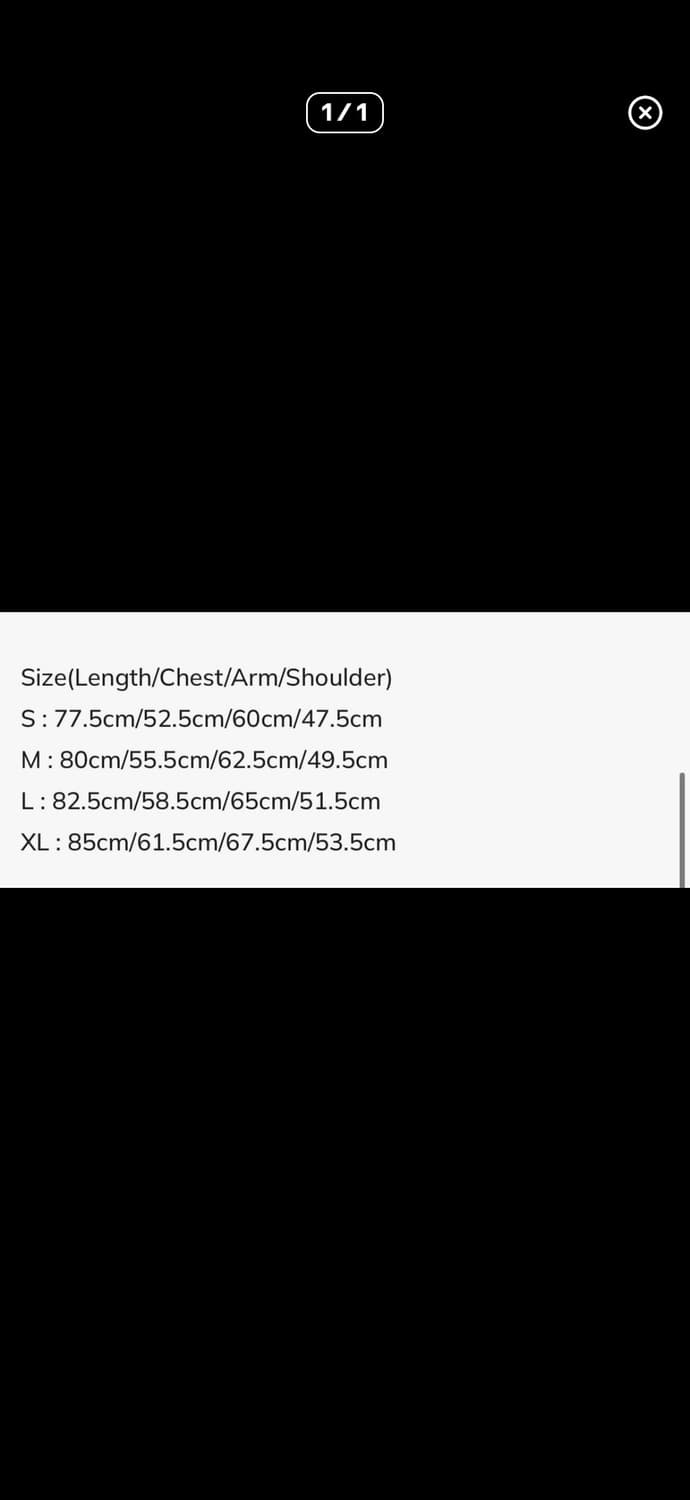 paf 6.0 left shirt, Large size,뉴진스 하니 착용 상품이미지10