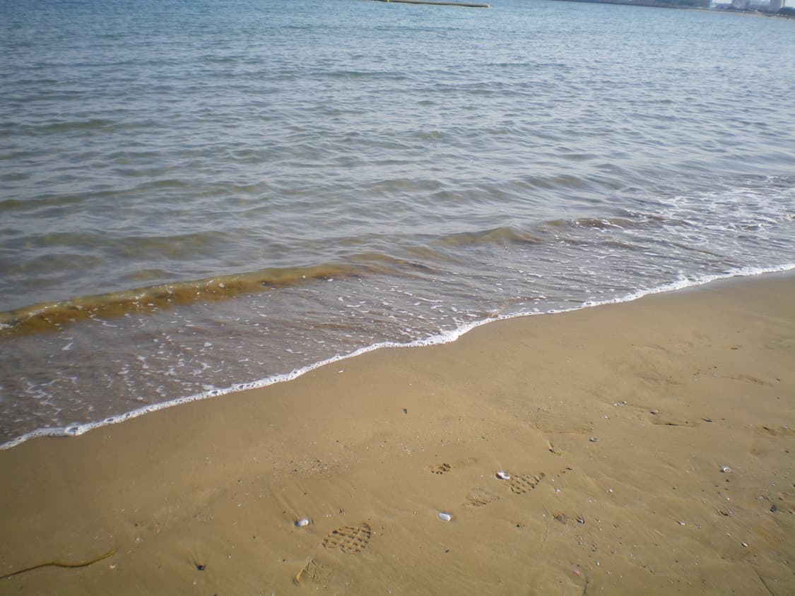 펜탁스 옵티오 e70 디카(작례O) 상품이미지6