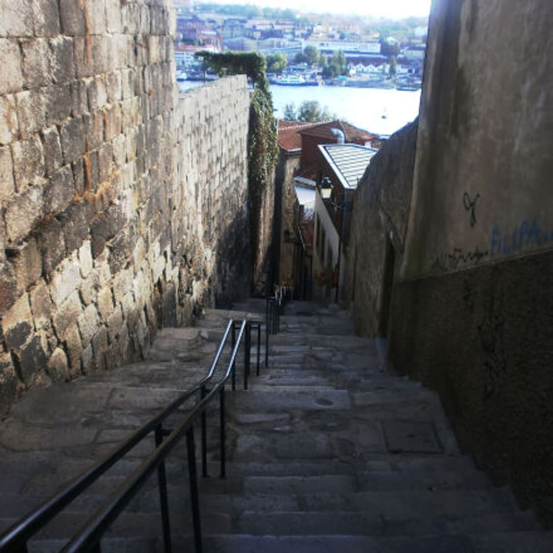 🎀 [한국어지원] 올림푸스 VG110 실버 판매합니다 ✨ 상품이미지6