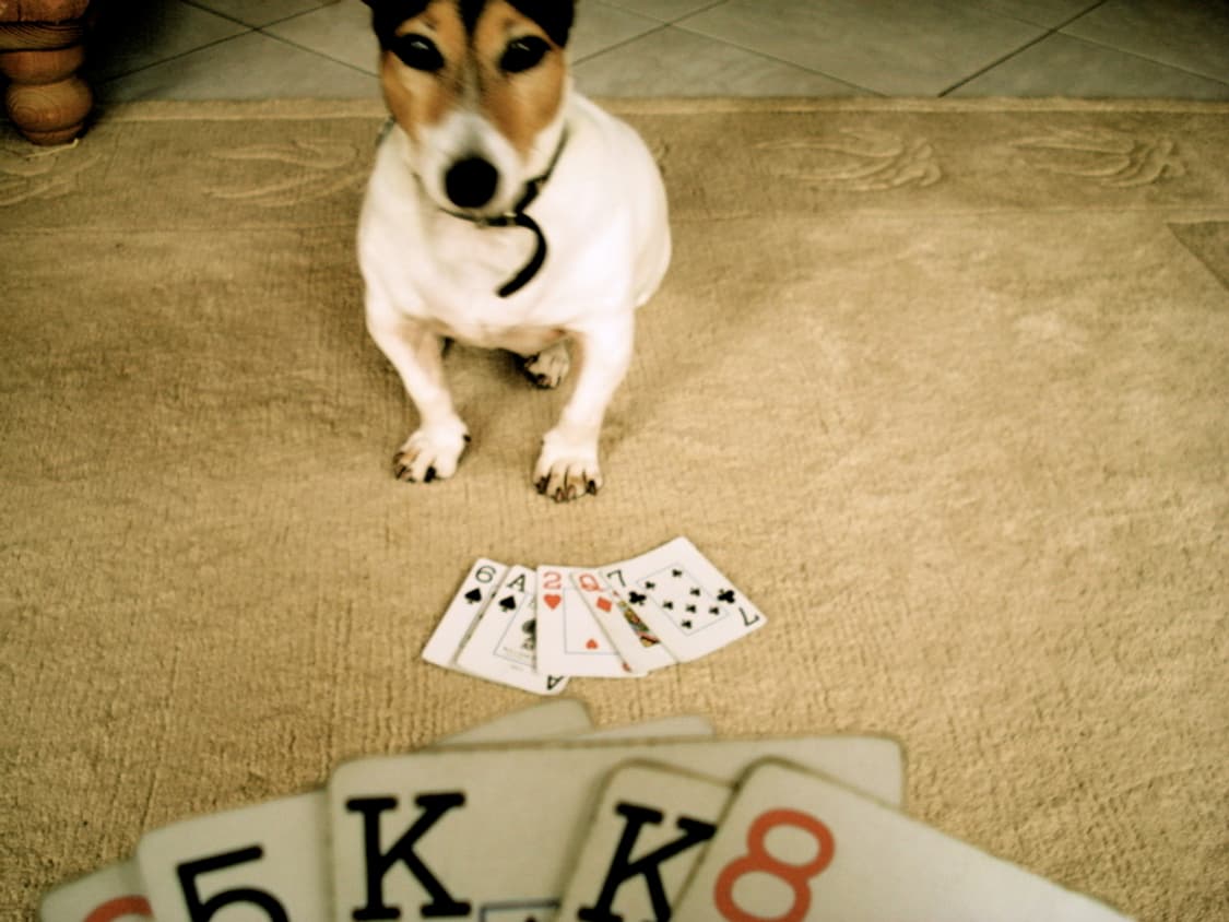 소니 사이버샷 Sony Cyber-shot DSC-W70 실버 상품이미지3