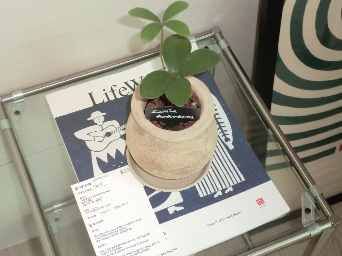 카시오 엑슬림 z2300 casio exilim 상품이미지5