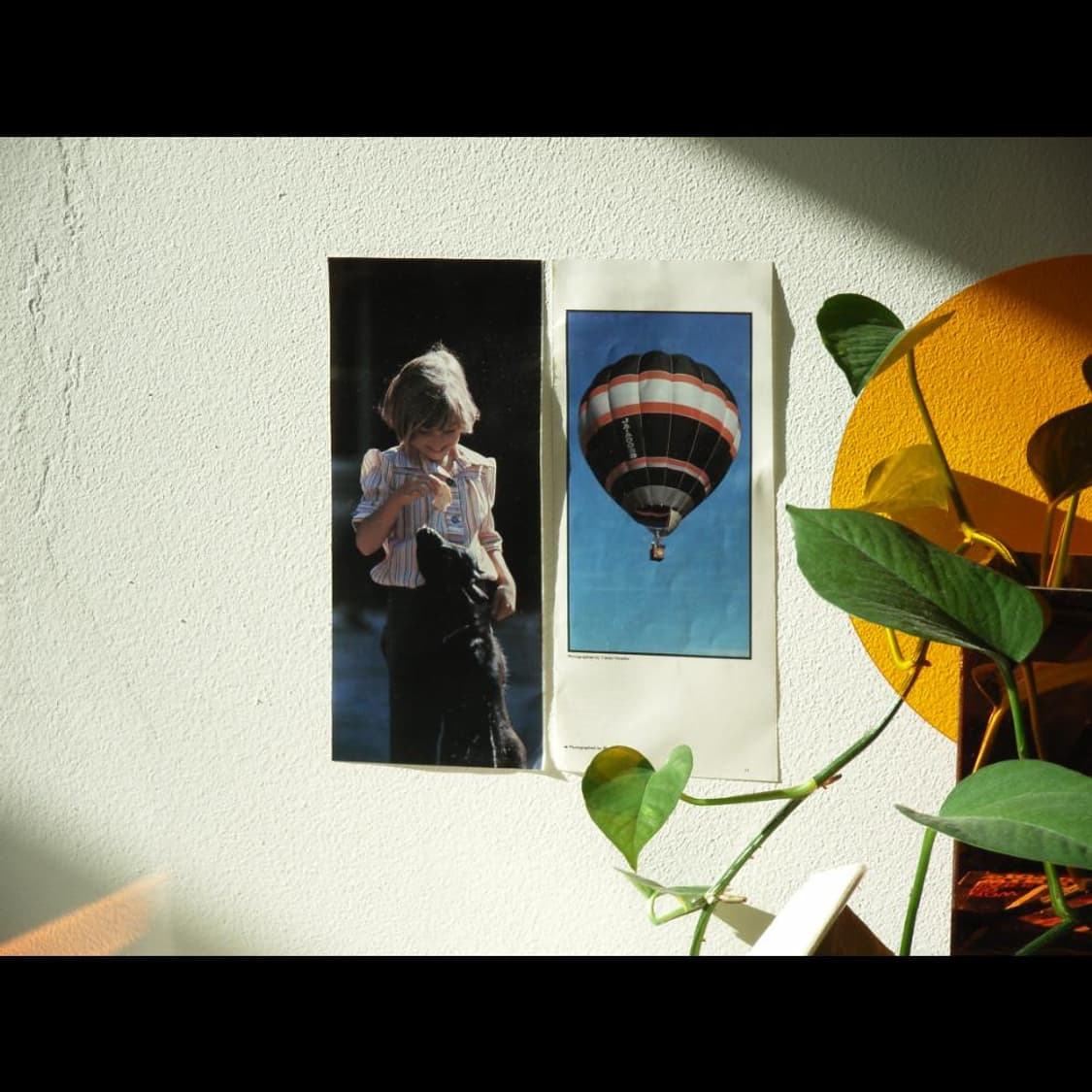 리코 카프리오 R1  메탈릭 블랙🖤  빈티지 디카 디지털카메라 상품이미지3