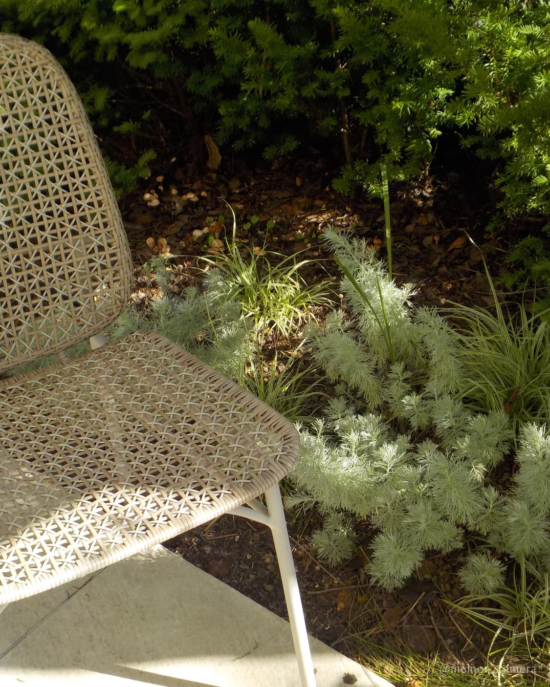 인기모델/찰스엔터님픽🫧Nikon COOLPIX W100 니콘 디카 상품이미지7