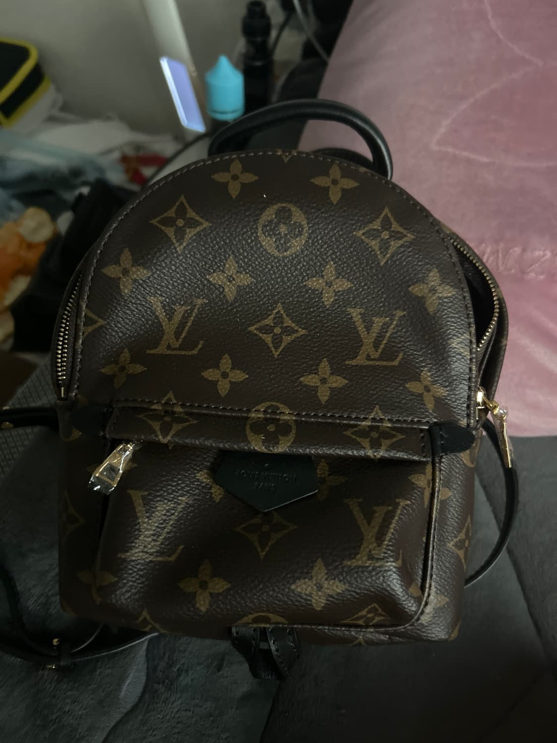 루이비통 팜 스프링스 백팩 미니 상품이미지1
