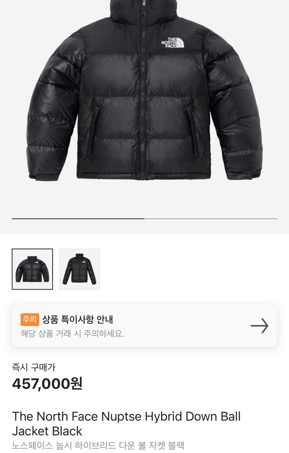 노스페이스 눕시 100 / L 상품이미지2