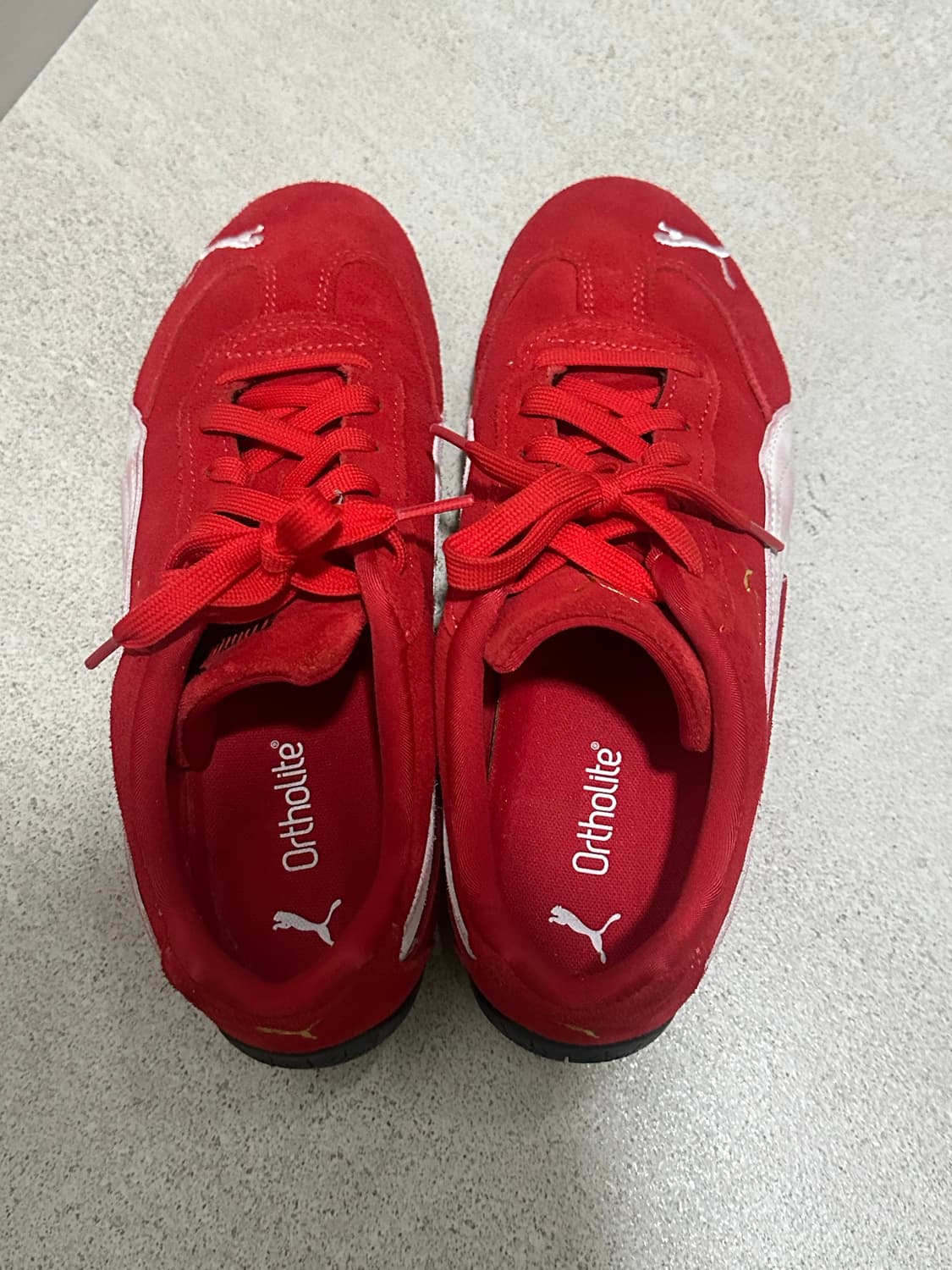 스피드캣 상품이미지3