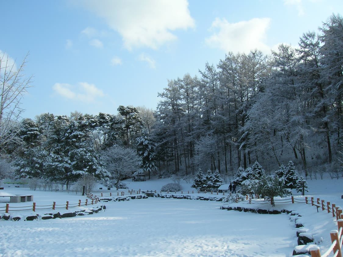 풀박, 작례O) 니콘 쿨픽스 5600 Nikon Coolpix 5600 상품이미지10