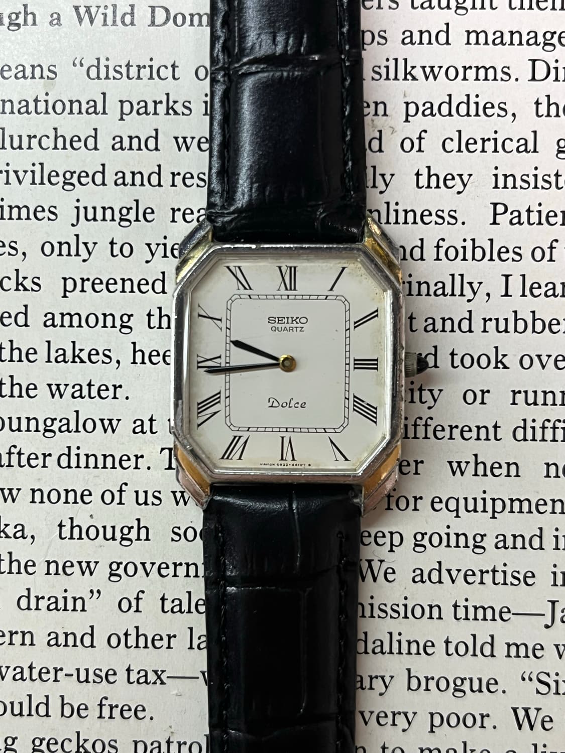 SEIKO DOLCE 쿼츠 상품이미지1