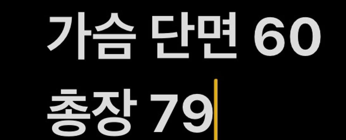 [ 정품/L ] 폴로 랄프로렌 체크 셔츠 b15 상품이미지7