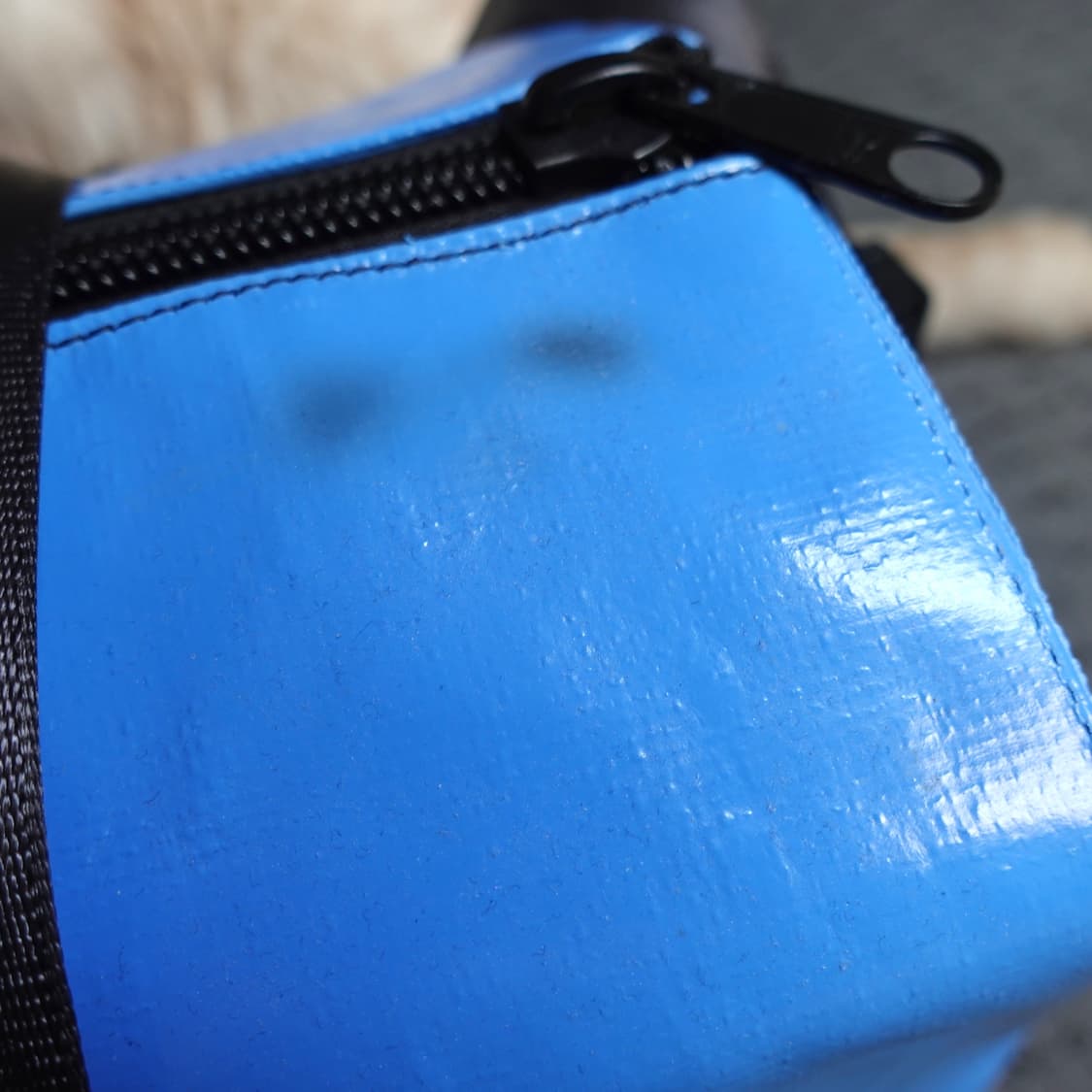 프라이탁 로이45 새상품 상품이미지5