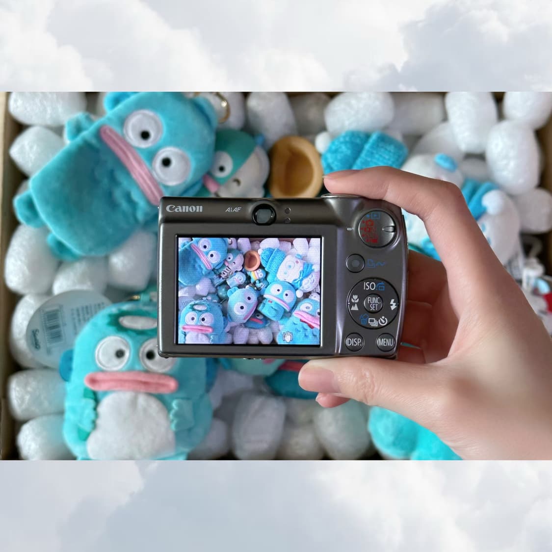 [*인기!🔥/작례⭕️] 캐논 IXY900 IS (IXUS850 IS) 상품이미지4