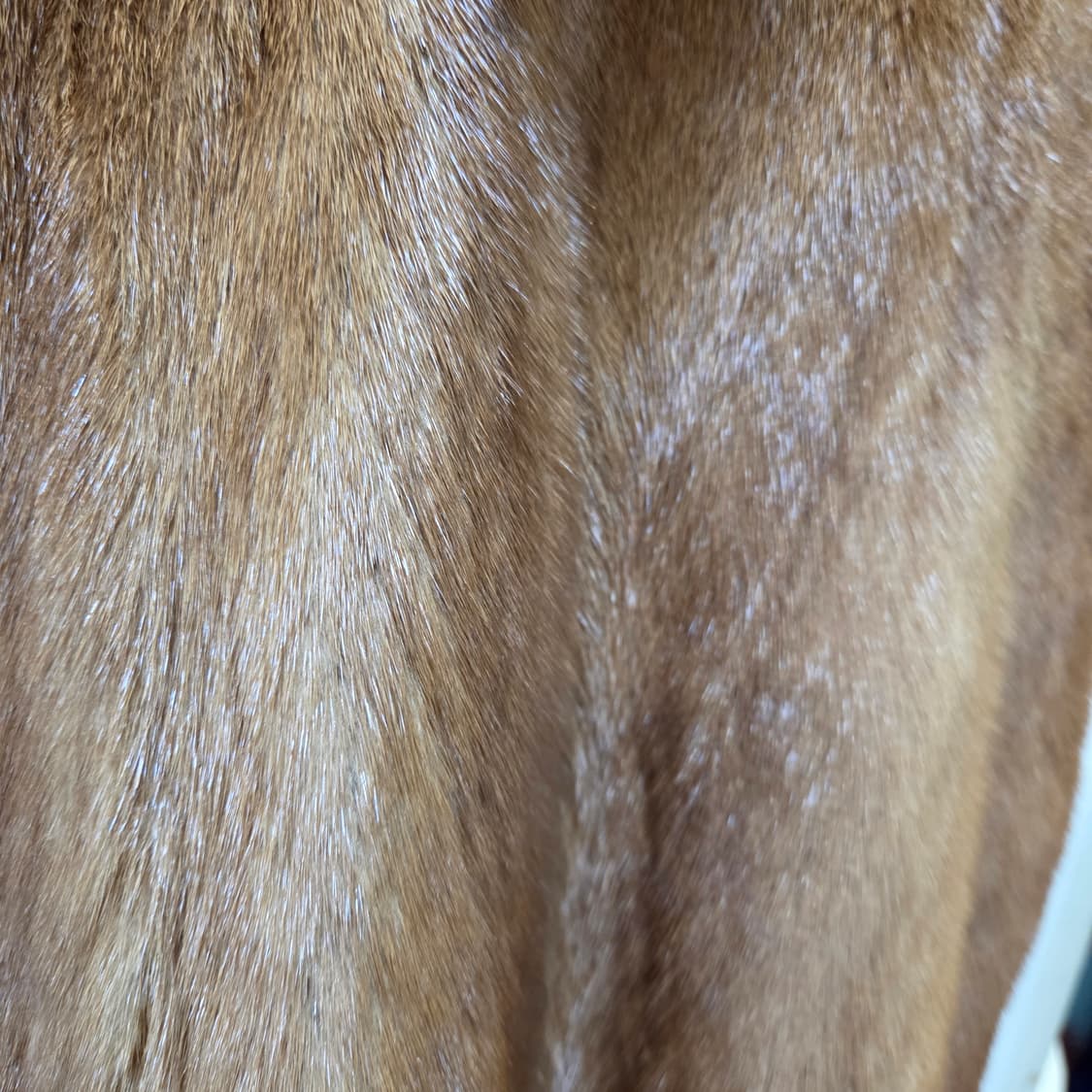 국제 모피 밍크 베스트 상품이미지8