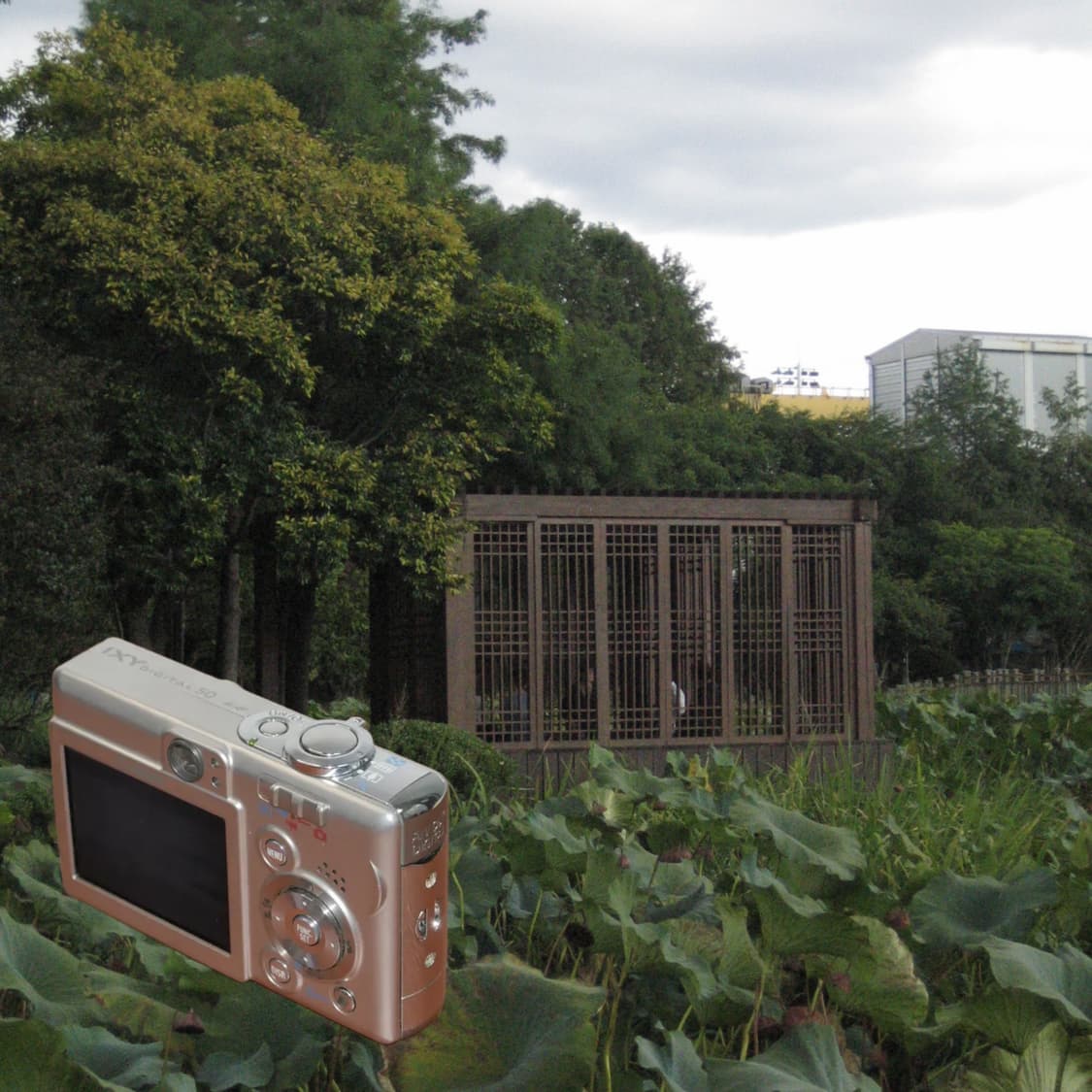 Canon IXY digital 50(✨A급 /🎁풀패키지) 상품이미지7