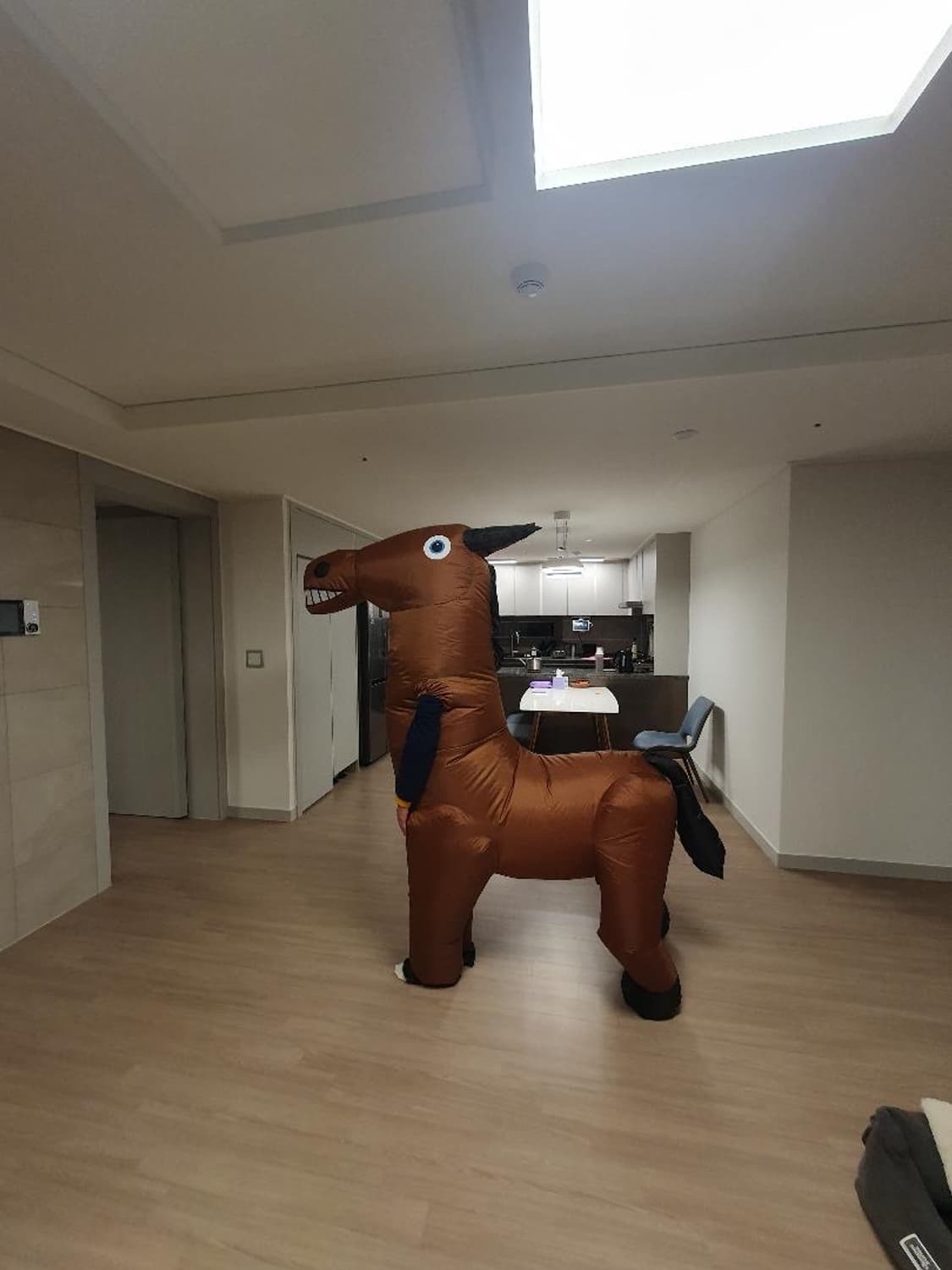 에어슈트 말 코스튬 상품이미지1