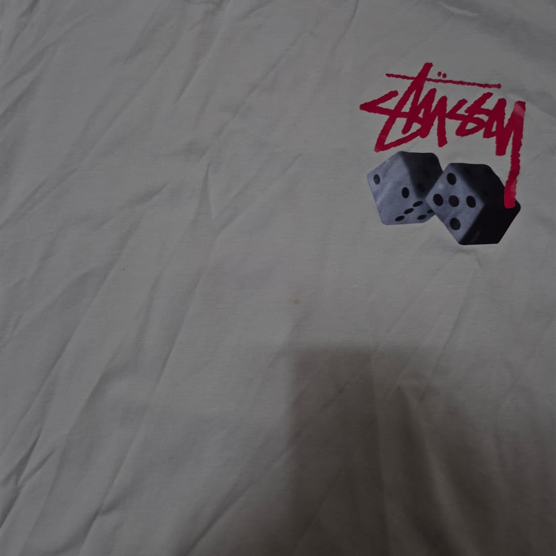 스투시 더블다이스 빅로고 반팔티셔츠 L(100) 상품이미지4