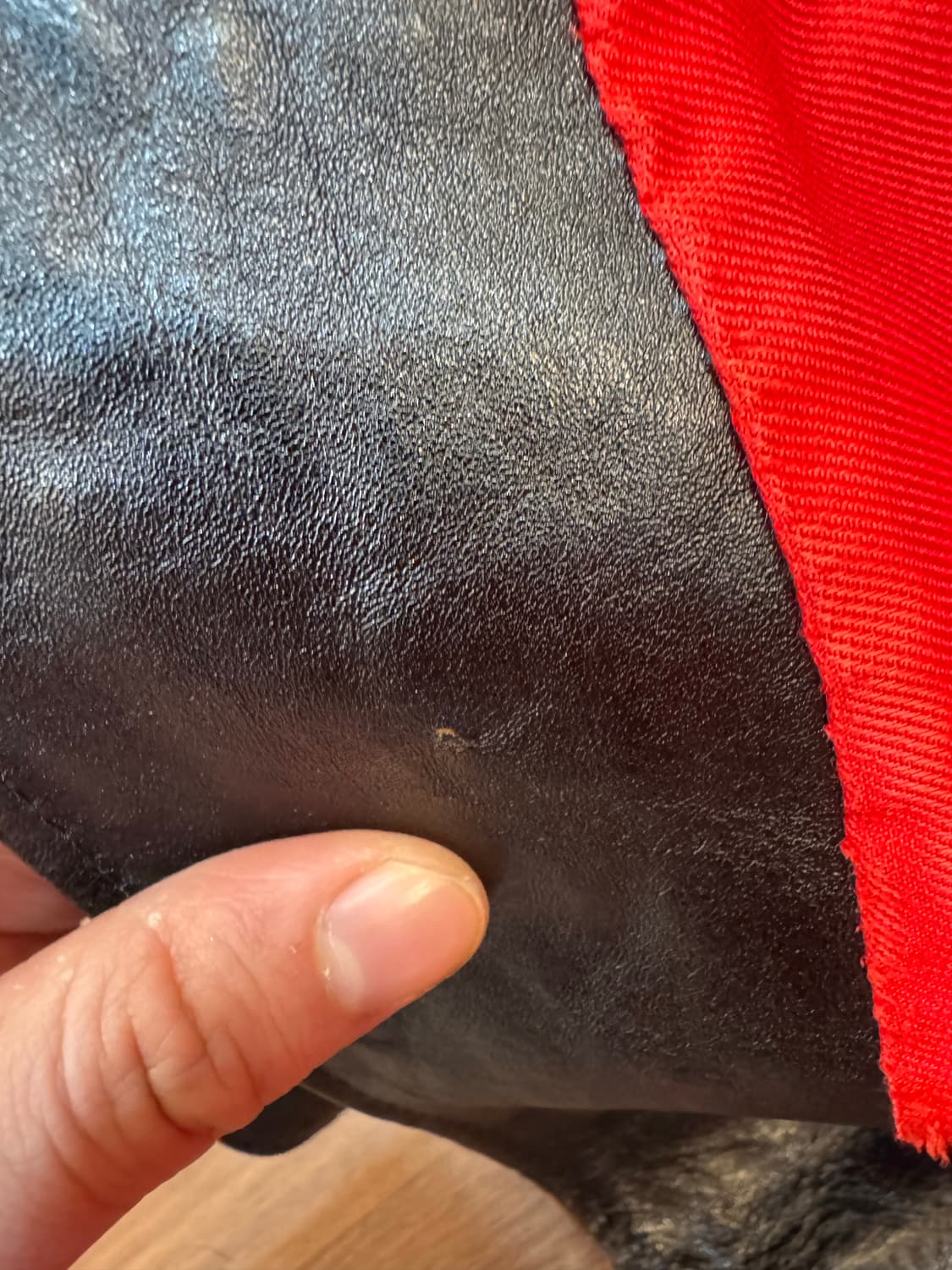 [42] 루이스레더 베지터블 카우 커세어 상품이미지9