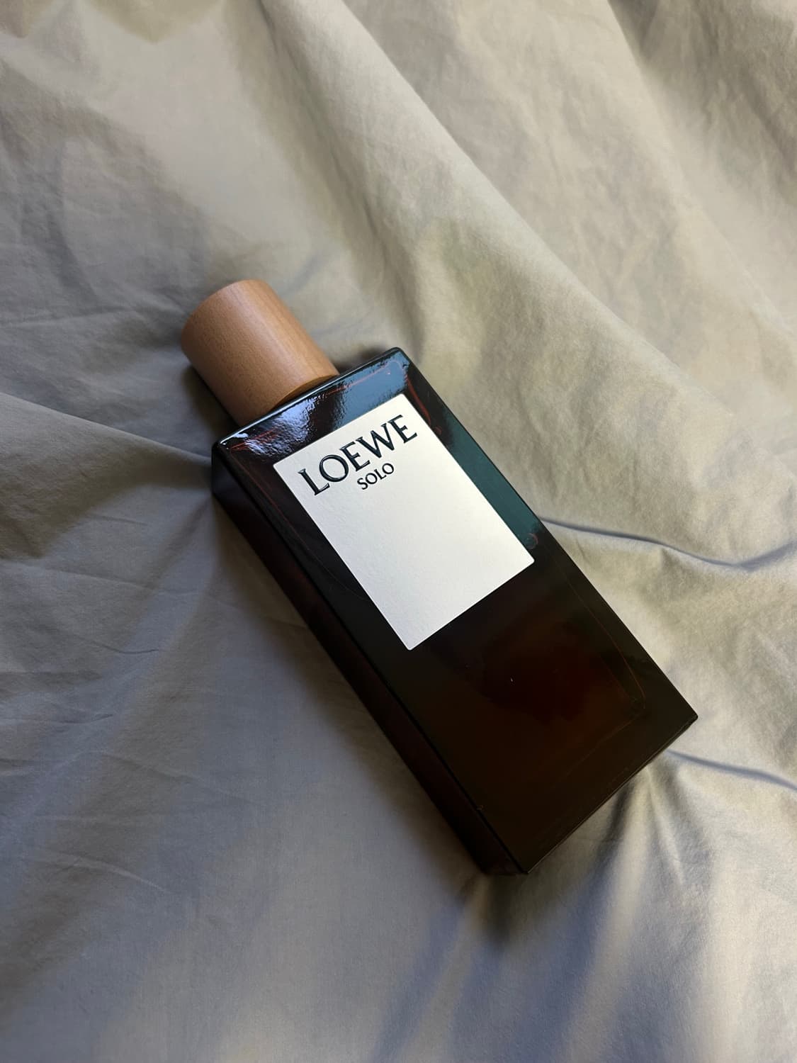 로에베 LOEWE 솔로 오 드 뚜왈렛 뿌르옴므 100ml 상품이미지1