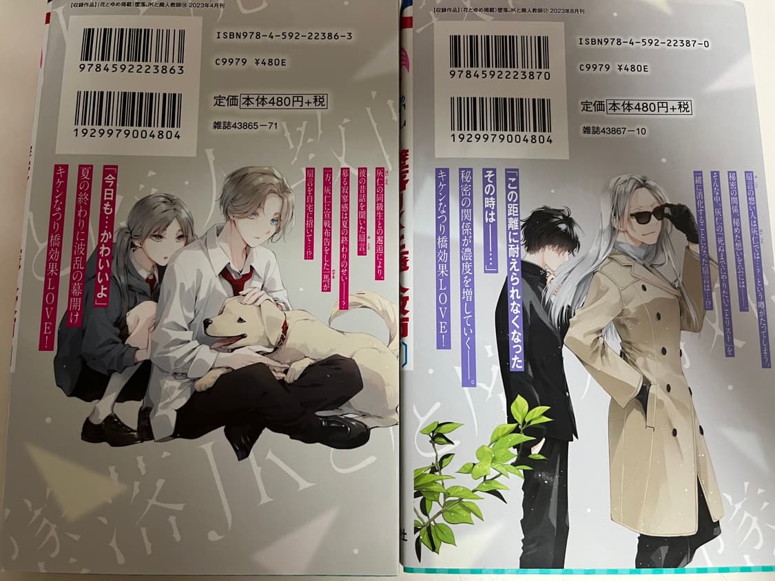 급처(일본어판) 추락여고생과 폐인 교사 상품이미지9