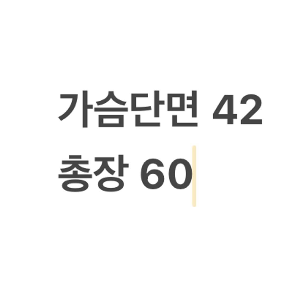[정품/M] 파타고니아 레트로 파일 베스트 아이보리 b12 상품이미지6