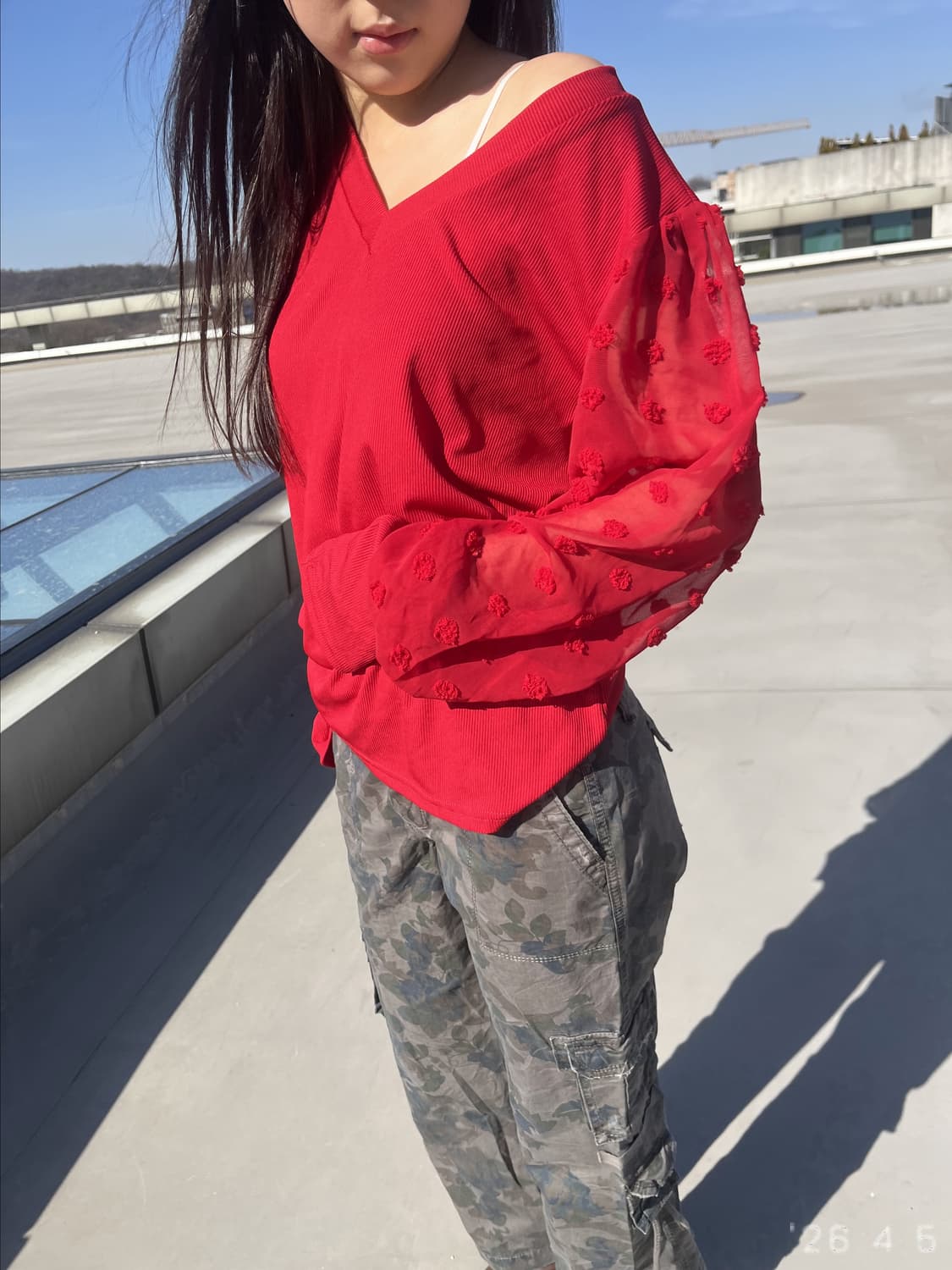 Red Sheer-sleeve Top 레드 쉬어슬리브 탑 상품이미지2