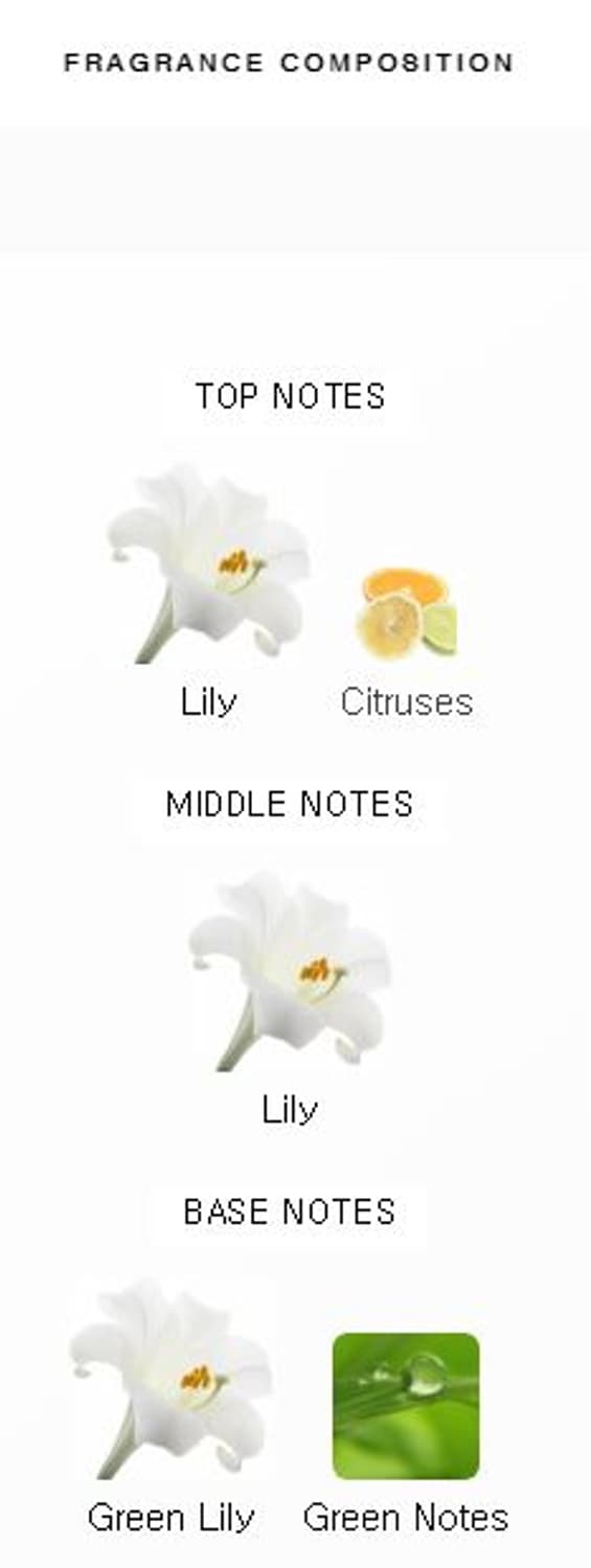 까르띠에 베제 볼레 오드퍼퓸 EDP 100ml 향수 베제볼 Cartier 상품이미지6