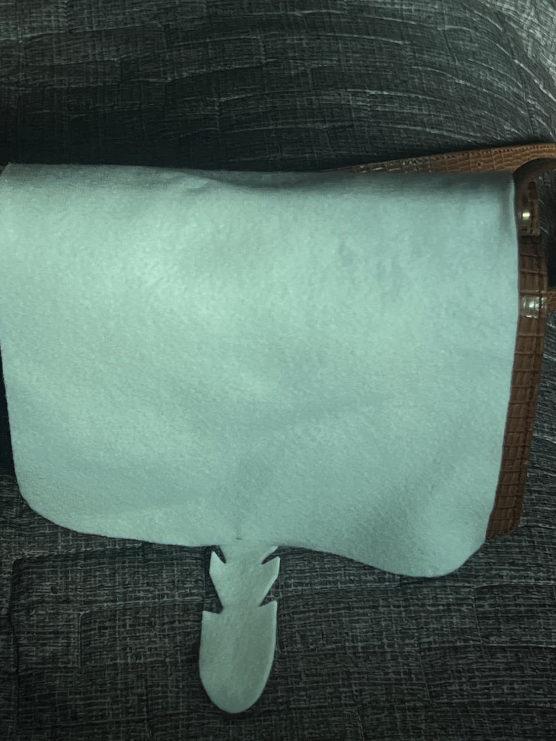 투티에 포멜 미니백 리자드 브라운 상품이미지9